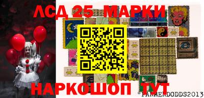 стаф Можга