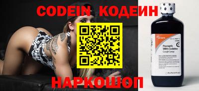 стаф Можга